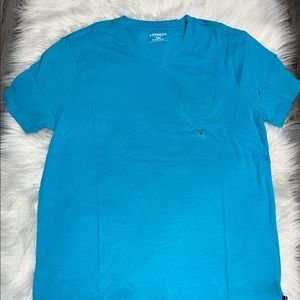 Brand new Express vneck tee